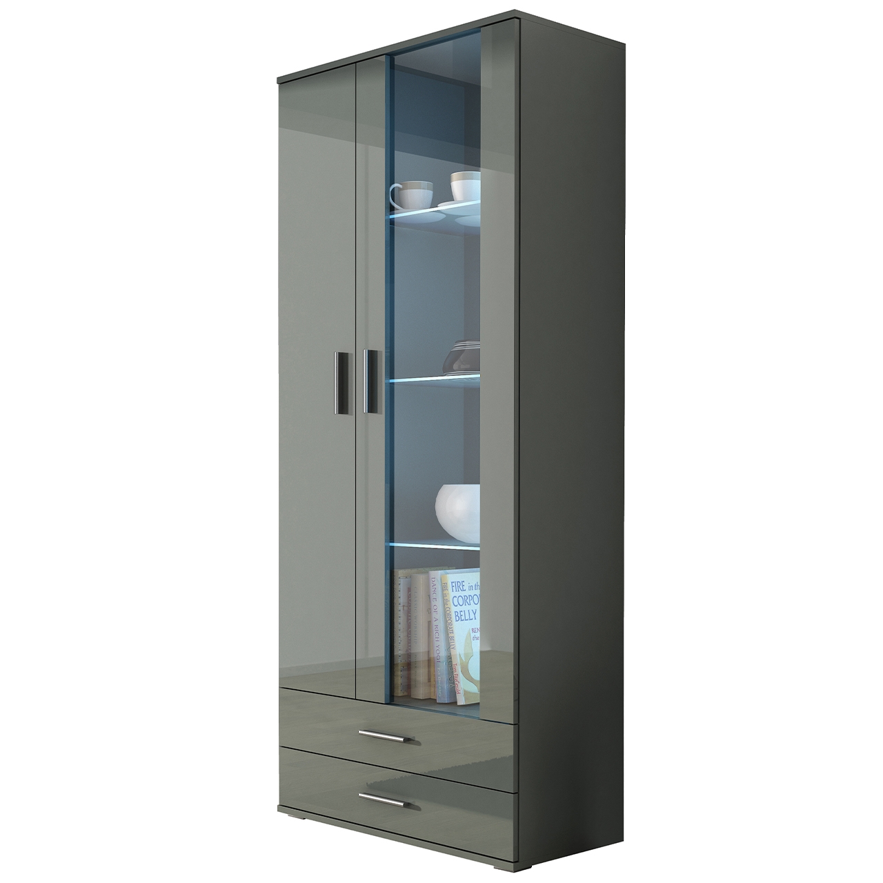 Display cabinet SOHO SH7H grey / grey gloss