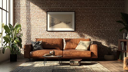 Living room with a brick accent - what furniture will match?